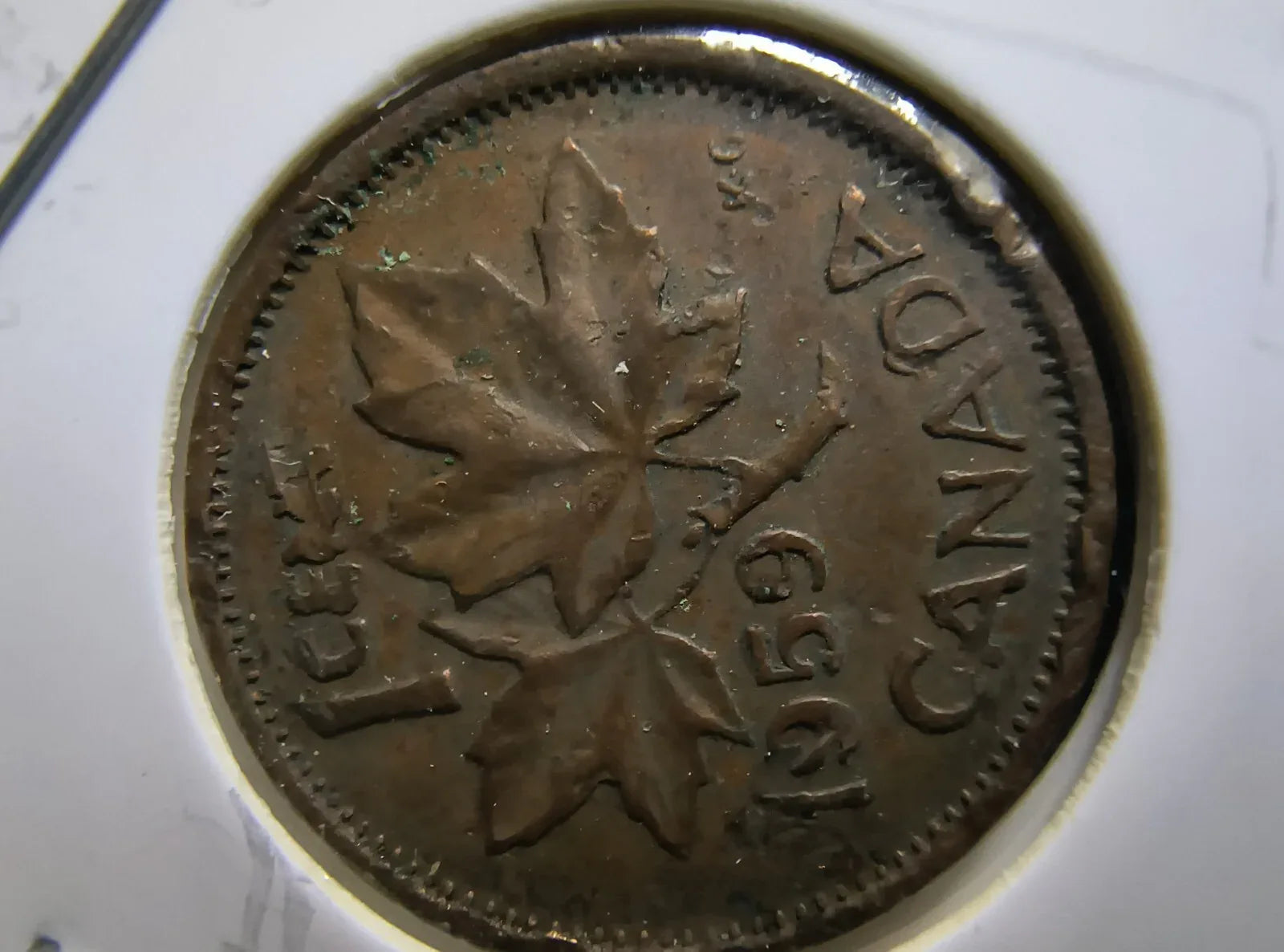 Lot Of 10 Circulated Canada 1 Cent Pre 1960 (GVG Grade) *Read Description* - NumisFind