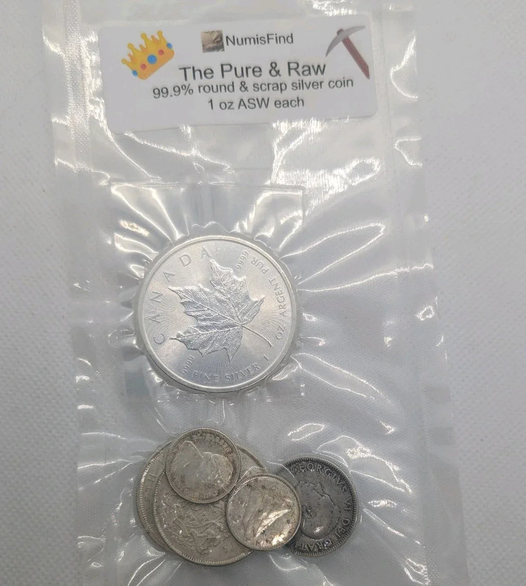2 Oz Silver Coin Pack Bags The Pure And The Raw ️ 1 Pure Oz & 1 Scrap Oz ASW - NumisFind