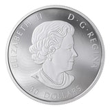 Canada 2019 2 oz 9999 Silver coin - Majestic Birds in motion - Canada Geese - NumisFind