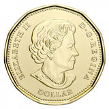 2020 Canada One Dollar 75th Anniversary of UN Charter Non Coloured Loonie Coin - NumisFind