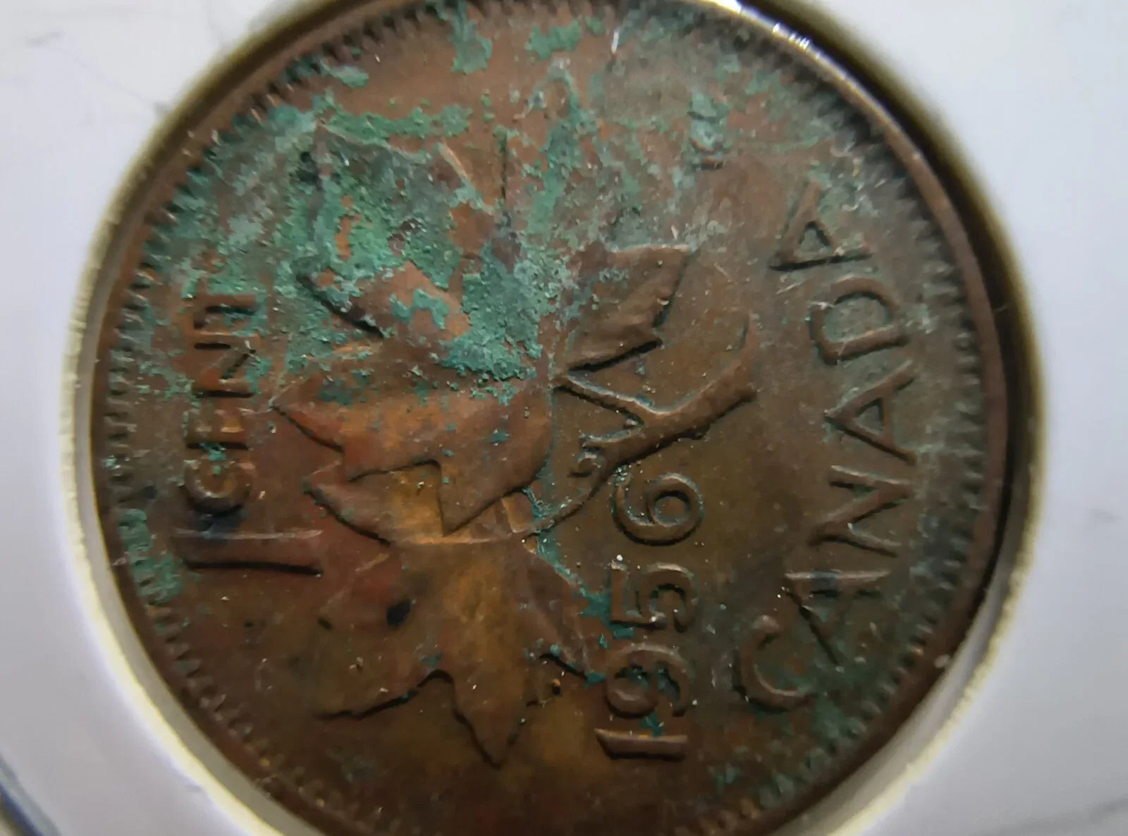 Lot Of 10 Circulated Canada 1 Cent Pre 1960 (GVG Grade) *Read Description* - NumisFind