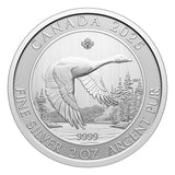 Canadian Goose 2025 Canada 2oz .9999 Pure Silver Bullion $10 Coin0