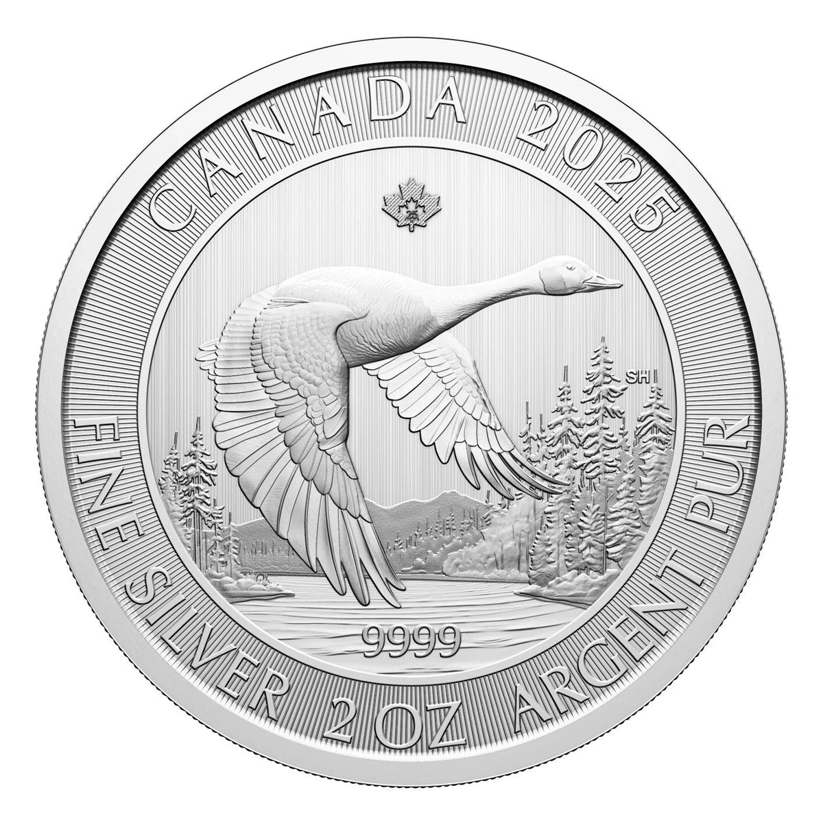 Canadian Goose 2025 Canada 2oz .9999 Pure Silver Bullion $10 Coin0