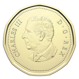 2026 Canada $1 Lucky Loonie Dollar Coin UNC – Collectible Loonie2